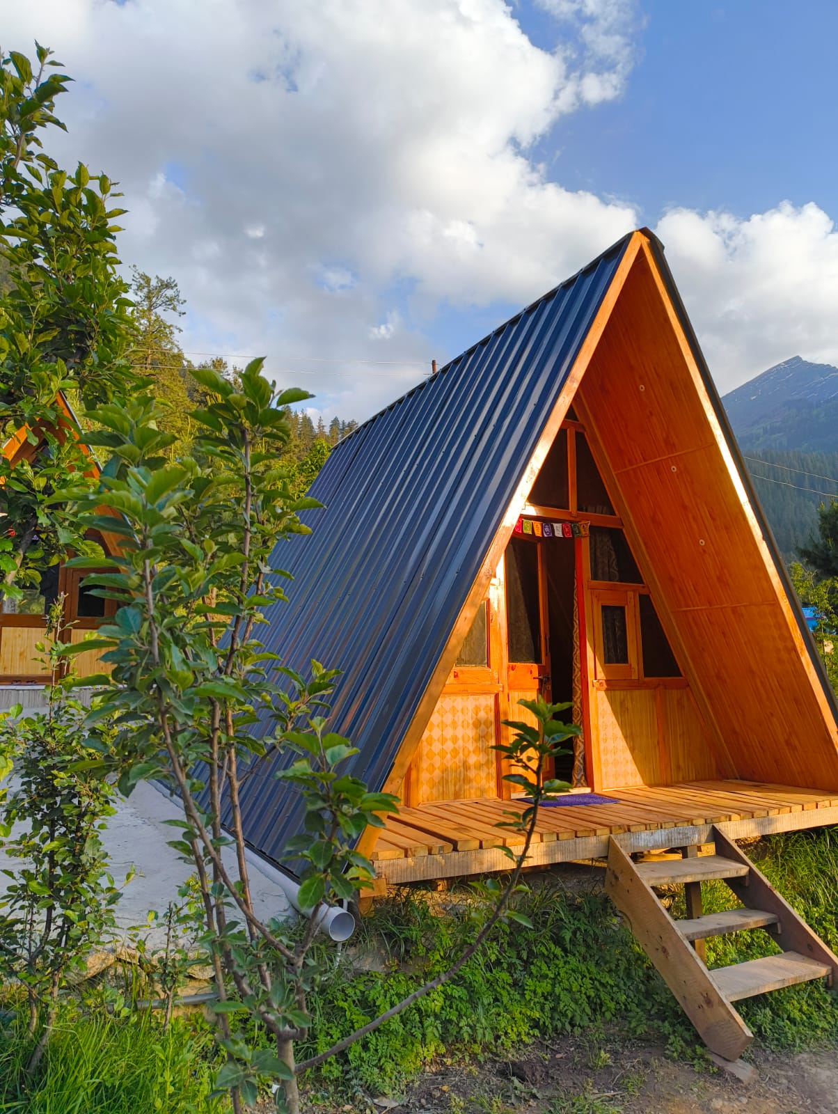 New Mountain View